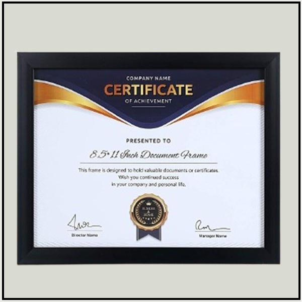 Certificate Frame Black with mount 002