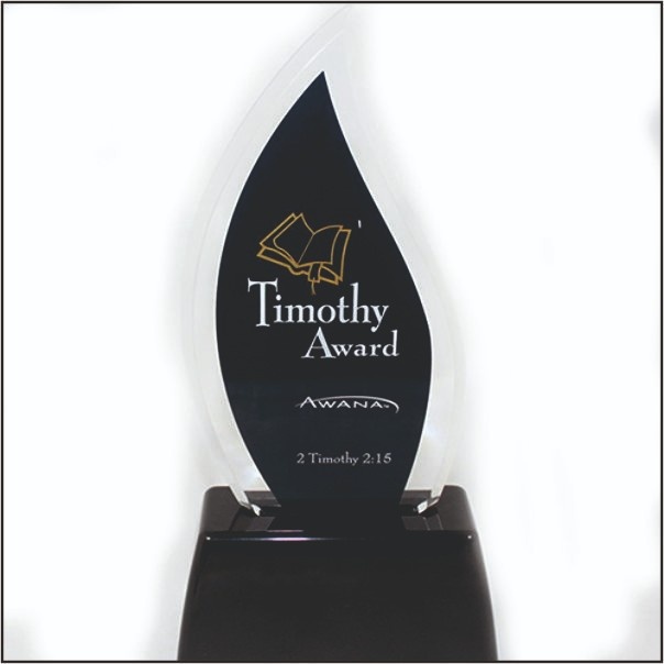Premium Flame-Shaped Acrylic Award | Black & Clear Custom Trophy