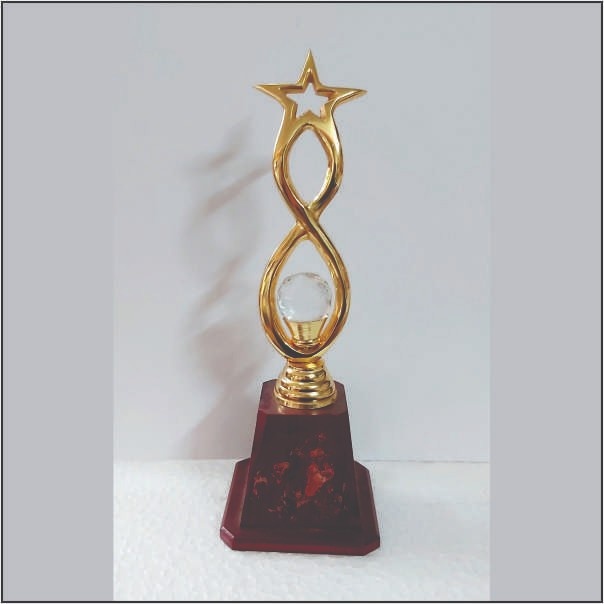Premium Handcrafted Metal Star Trophy with Crystal Base | TrophyIndia