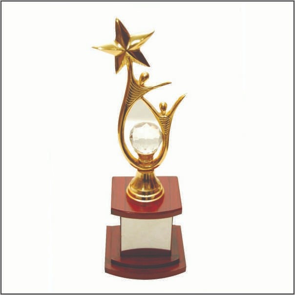 Premium Handcrafted Metal Dual Team Success Star Trophy | TrophyIndia