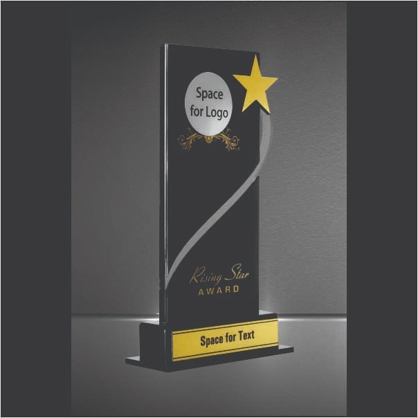 Premium Customizable Black Acrylic Trophy with Gold Star Accent
