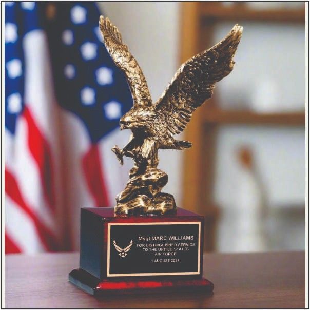 Premium Air Force Eagle Mementos - Custom Military Insignia Awards