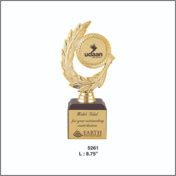 Custom Logo Fiber Trophies Delhi | Corporate Recognition Awards Noida