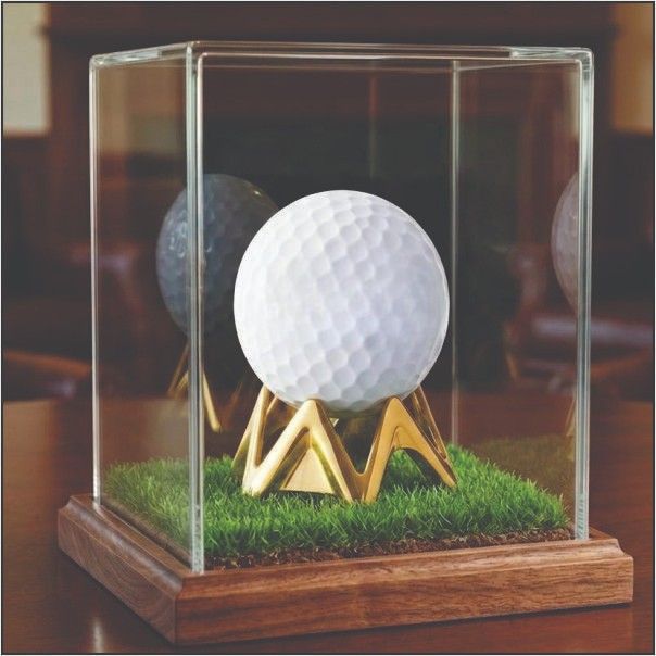 Customised Hole in One Golf Trophy Showcase – Delhi Manufacturer