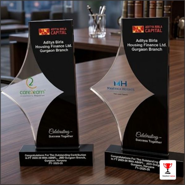 Custom 12-Inch Acrylic Trophy with Metallic Rowmark Layer – Trophy India