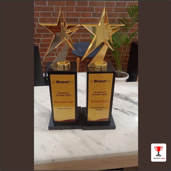 Custom 8x3 Metal Star Corporate Trophy with Wooden Base – Trophy India