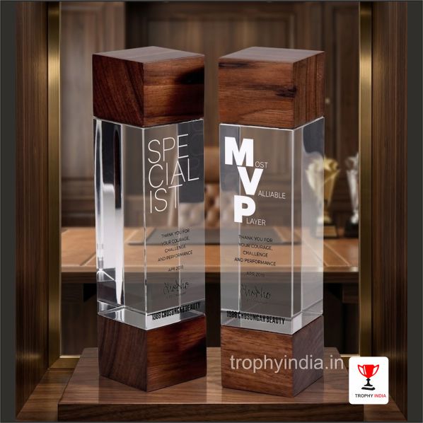 Premium Budget-Friendly Crystal Cube Trophies & Gifts