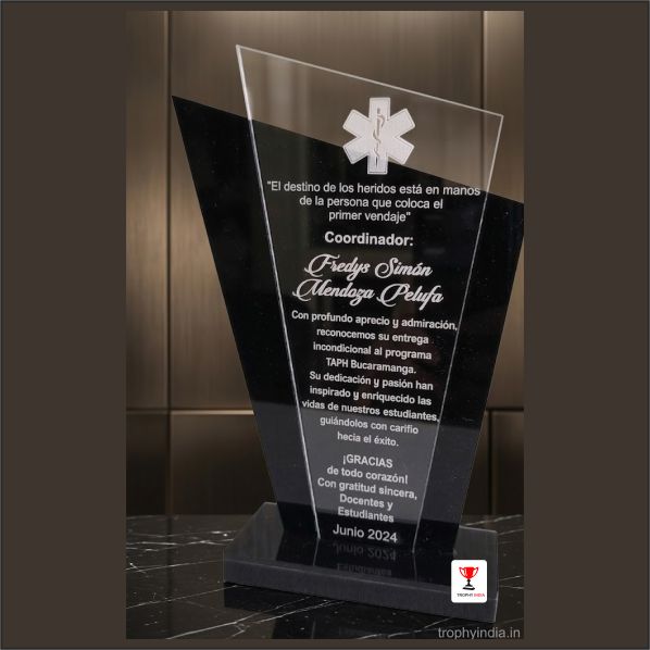 Custom 8-10 Inch Transparent Acrylic Wing Corporate Trophy – Trophy India