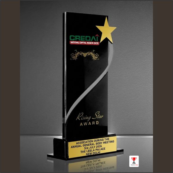 Custom 8-10 Inch Black Acrylic Star Corporate Trophy – Trophy India