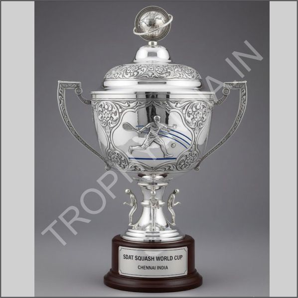 Buy Pure Silver Championship Trophy | Defense & Corporate Awards India