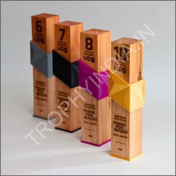 Custom Wooden Cube Pillar Trophy with Colorful Acrylic Cutout – Trophy India