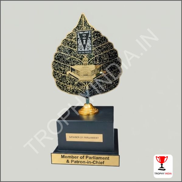 Custom Awards & Trophies Manufacturers in Delhi NCR | TrophyIndia.in