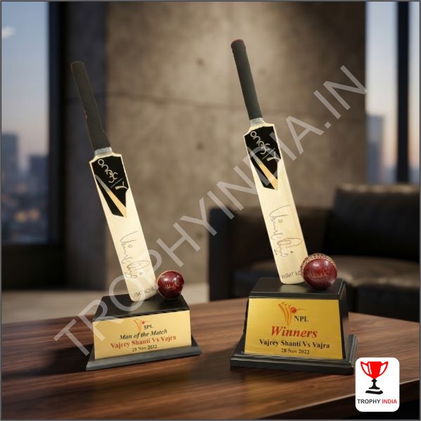 Best Cricket Trophies & Awards Manufacturers in Delhi | TrophyIndia.in