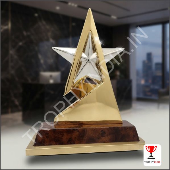 Customized Star Performer Award | Dual-Tone Metal Trophies Delhi
