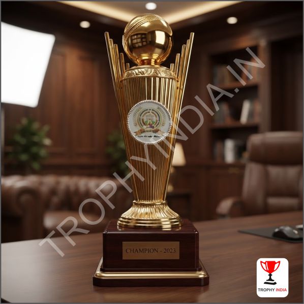 Premium Cricket Trophy – Customized Metal & Brass Trophy | Men of the Match Award | Delhi Manufacturer