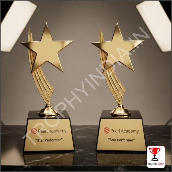 Star Performer Awards | Custom Gold Metal Trophies for Schools & Corporat