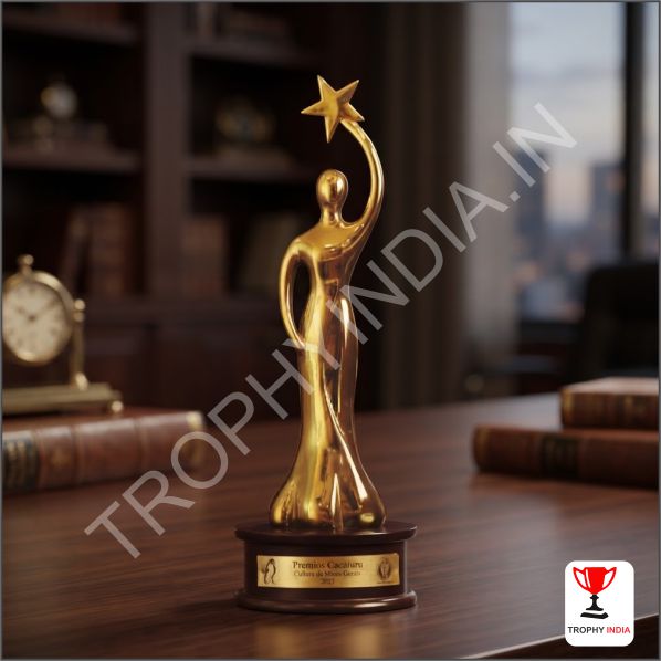 Premium Handcrafted Metal Human Figure Star Trophy | TrophyIndia