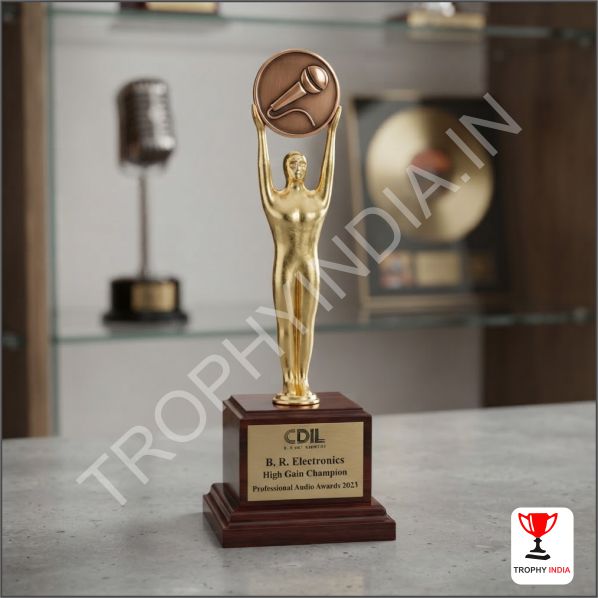 Buy Custom Metal Awards & Trophies Online | Premium & Budget-Friendly
