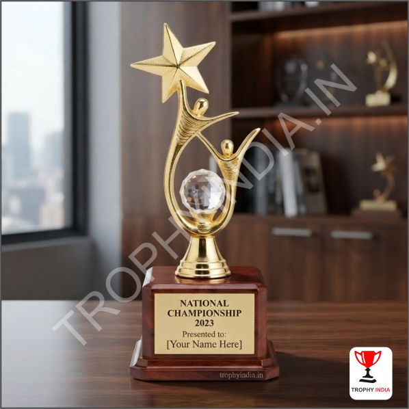 Premium Handcrafted Metal Dual Team Success Star Trophy | TrophyIndia