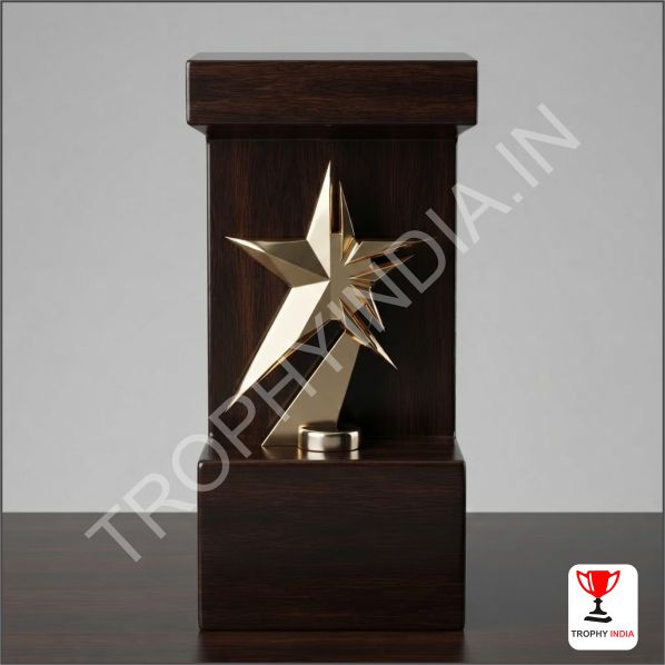 Premium Wooden Star Plaques