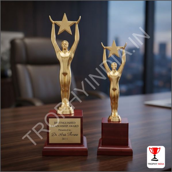 Best Achievement Metal Awards