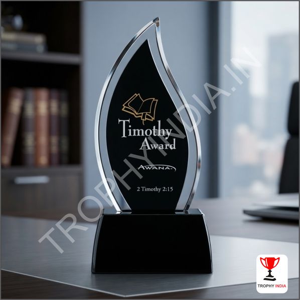 Premium Flame-Shaped Acrylic Award | Black & Clear Custom Trophy