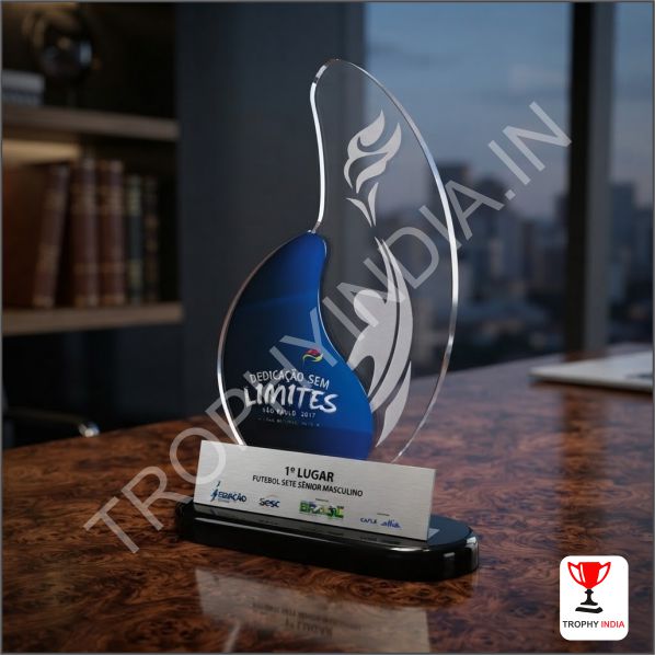 Buy Custom Acrylic Trophies in Delhi, Gurgaon, Noida