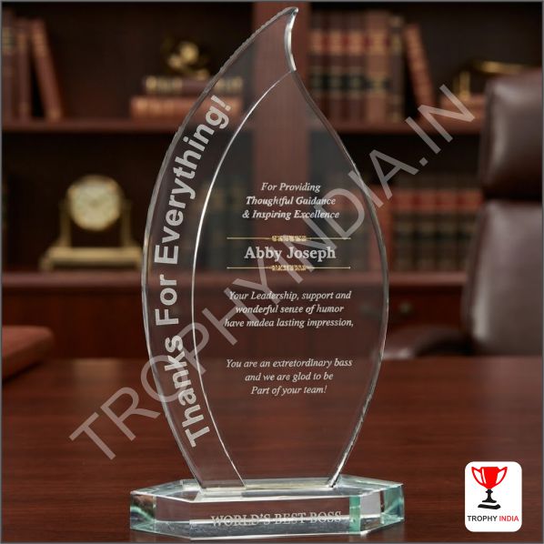 Sunburst Design Customised Crystal Award | Elite Glass Trophy for Creative Excellence