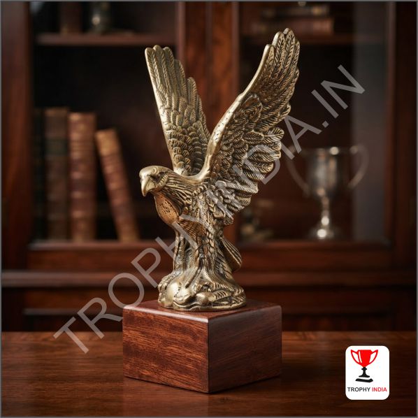 Eagle Trophies & Leadership Awards Delhi NCR | Trophy India