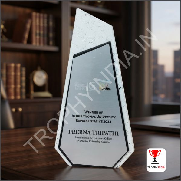 Modern Corporate Trophies Delhi NCR | Geometric Wooden Awards