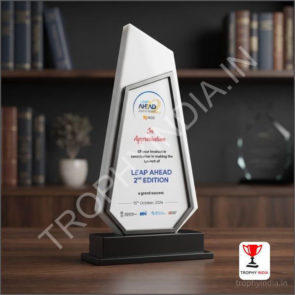 Custom Wooden Trophies & Eco-Friendly Awards Manufacturer in Delhi-NCR