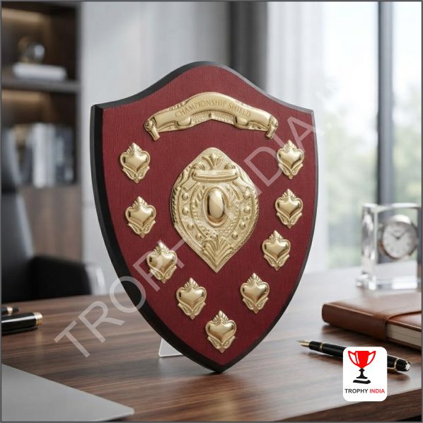 Traditional Wooden Shield Awards Delhi | Multi-Emblem Sports Trophies