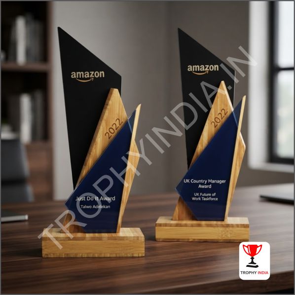 Premium Modern Corporate Awards Delhi | Abstract Geometric Trophies
