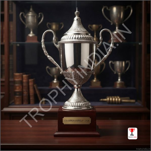 Pure Silver Trophy Manufacturers India | Best Silver Trophy Makers Delhi