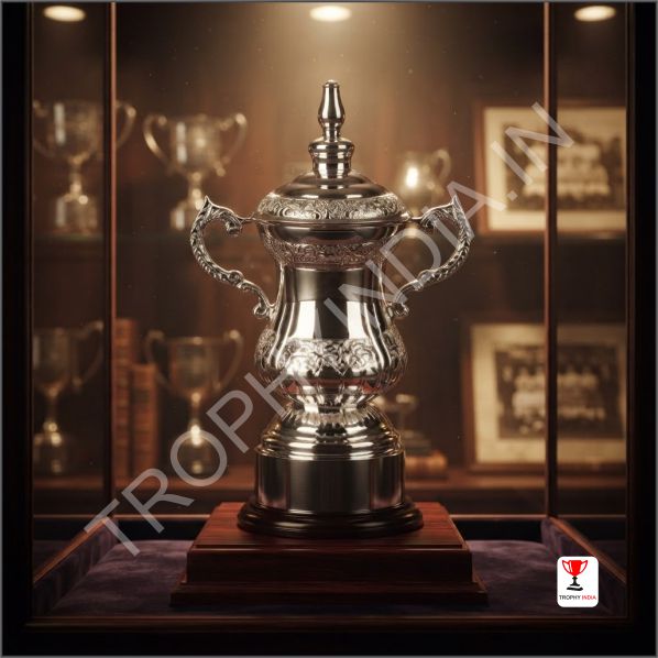 Pure Silver Trophy with Black Base