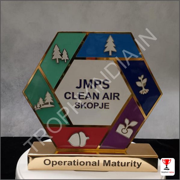 Customized Hexagonal Metal Enamel Award | Trophy India