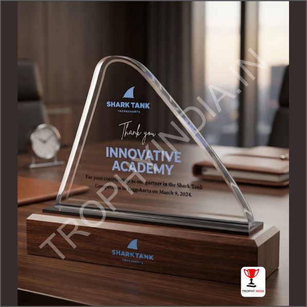 Customized Executive Asymmetrical Acrylic Award Trophy | Trophy India