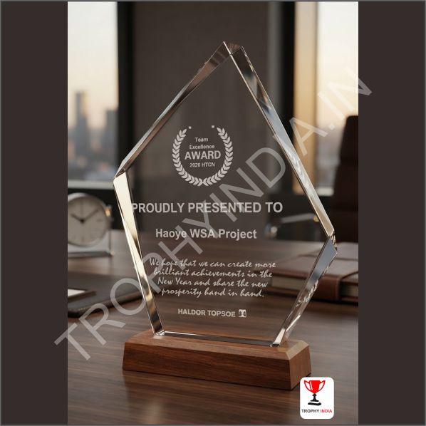 Customized Executive Diamond Shield Crystal Award Trophy | Trophy India