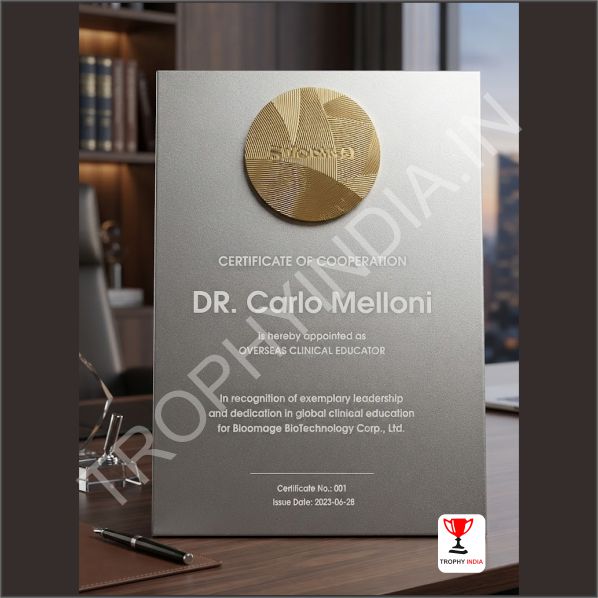 Customized Executive Brushed Silver Plaque Award | Trophy India