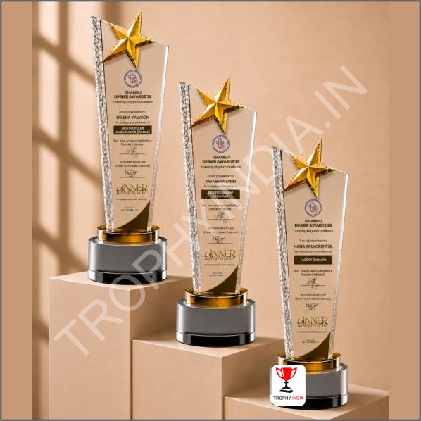 Customized Executive Gold Star Crystal Tower Trophy Set | Trophy India