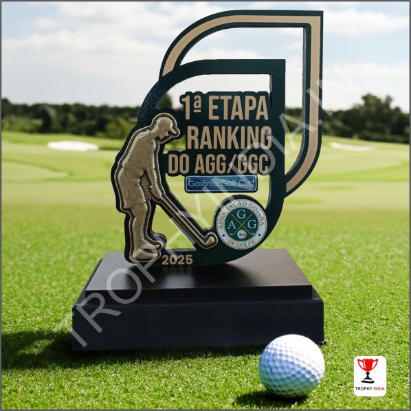 Customized Executive Golf Championship Metal Award Trophy | Trophy India